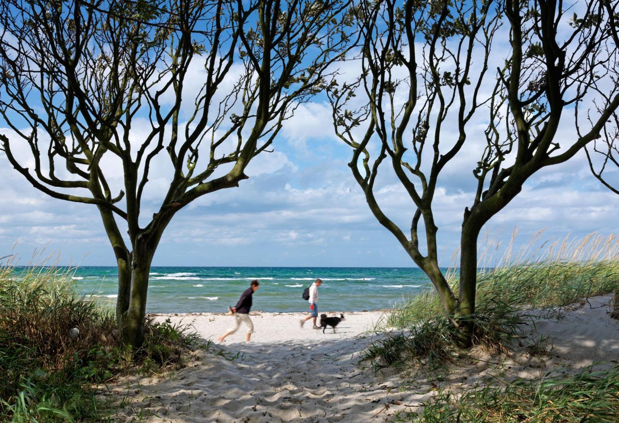 Reetdachhaus Hus Kieker Villa Insel Poel Kültér fotó